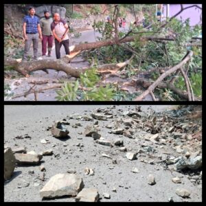 [[[[[[[[[[[[ BIG BREAKING ]]]]]]]]]]]] रातीघाट क्षेत्र में हाईवे पर धराशाई हुआ विशालकाय पेड़